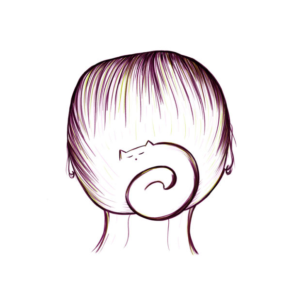 Illustration "Chat chignon"