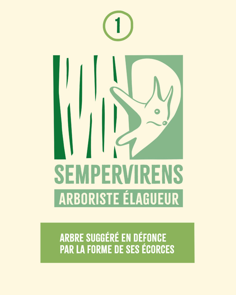 1 - focus sur l'arbre