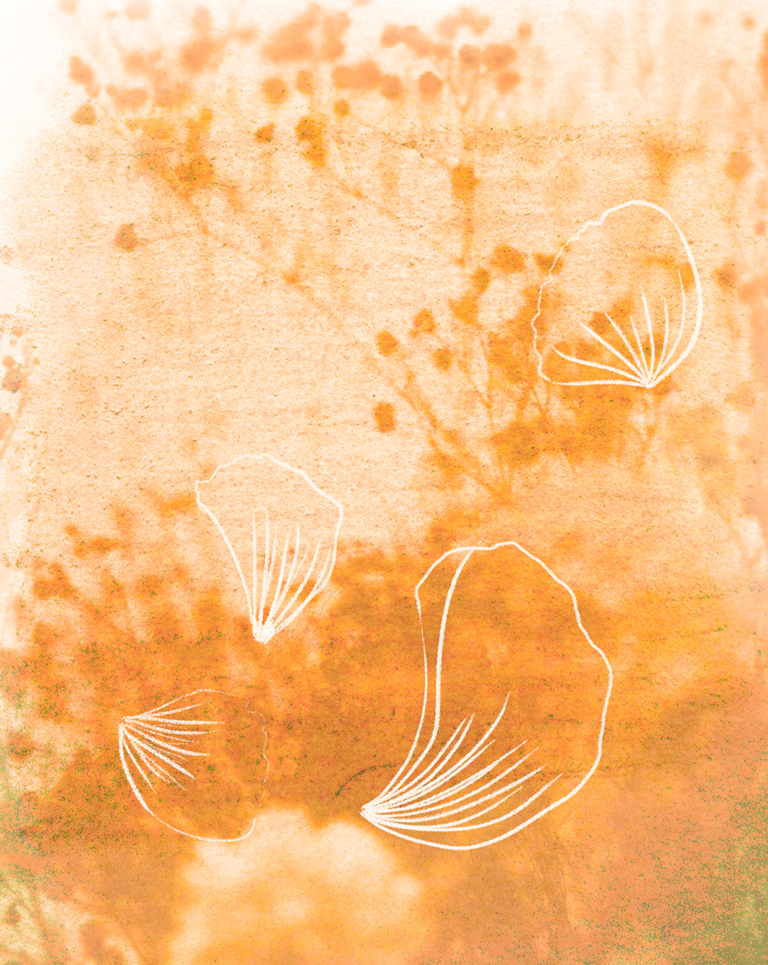 Illustration "douceur florale" zoomée