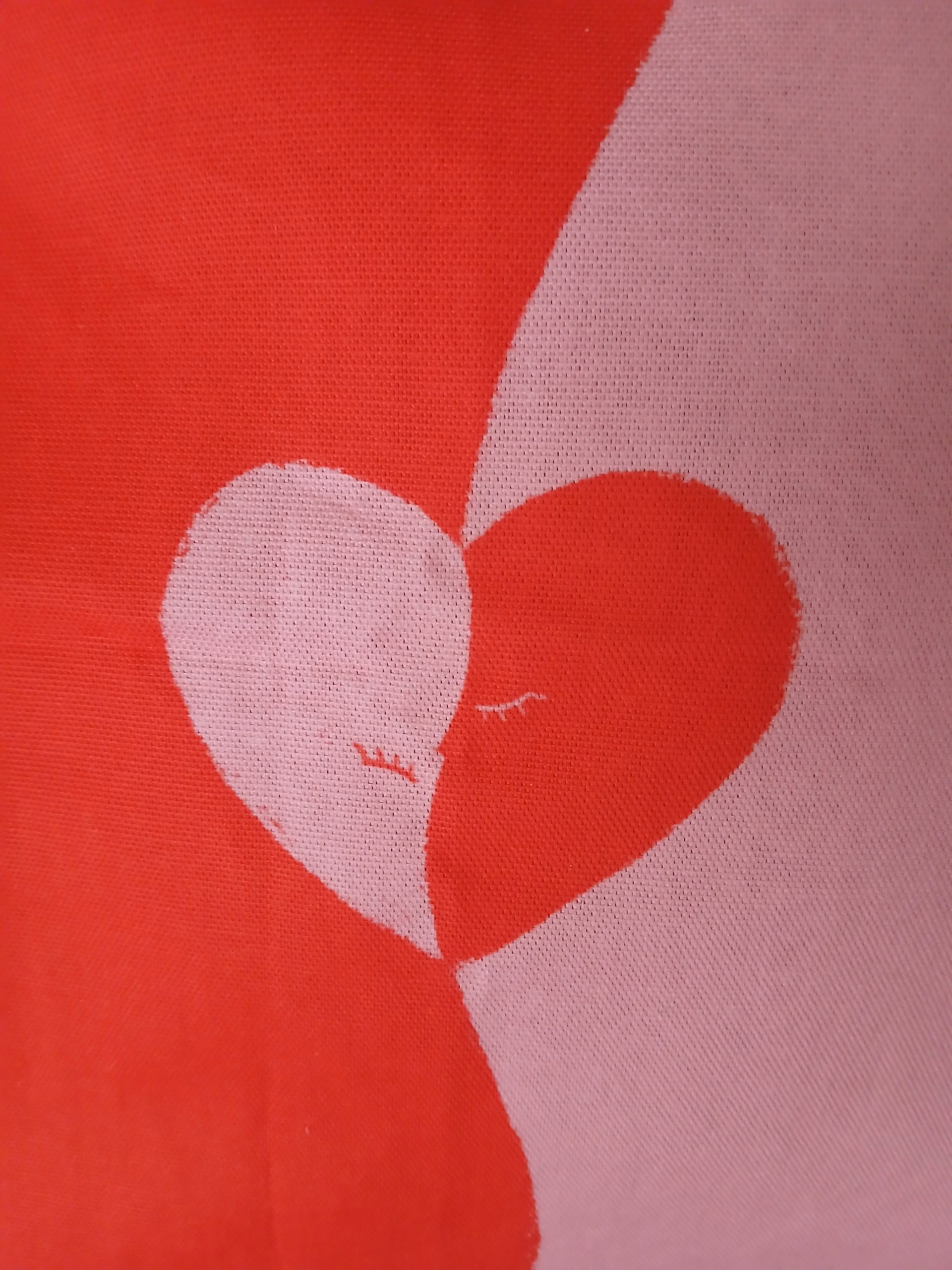 Housse de coussin – Image 2